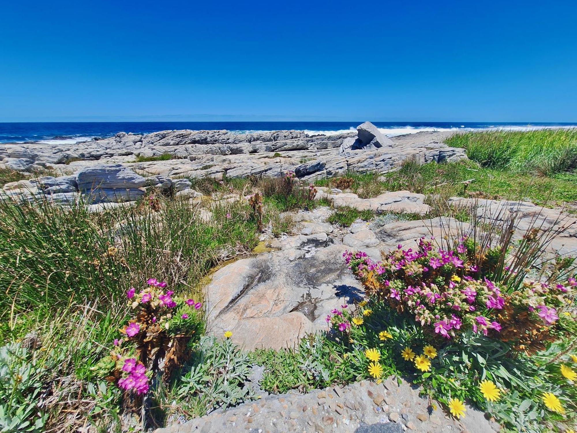 Getaway To Hermanus Beach Club Lejlighed Eksteriør billede